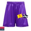 David Luke Shadow Stripe Shorts (Purple) Thumbnail