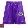 David Luke Shadow Stripe Shorts (Purple) Thumbnail